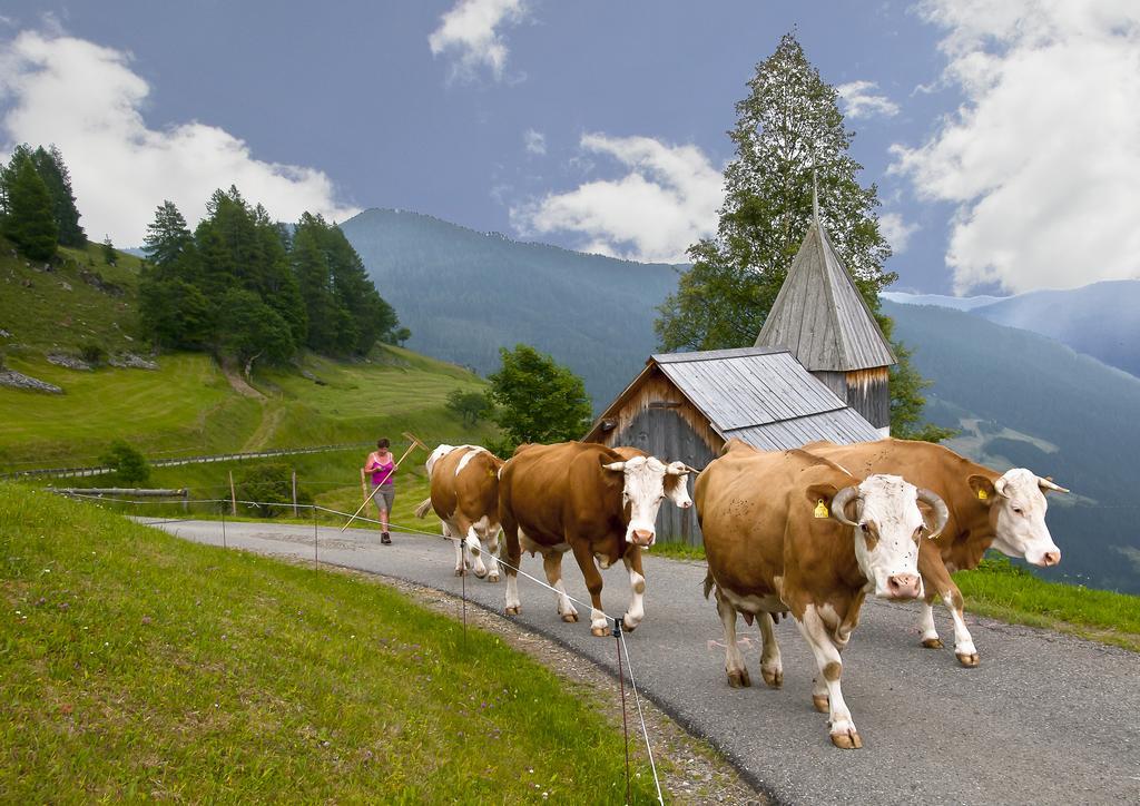 Schrunerhof Ebene Reichenau 객실 사진