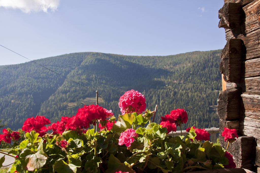 Schrunerhof Ebene Reichenau 객실 사진
