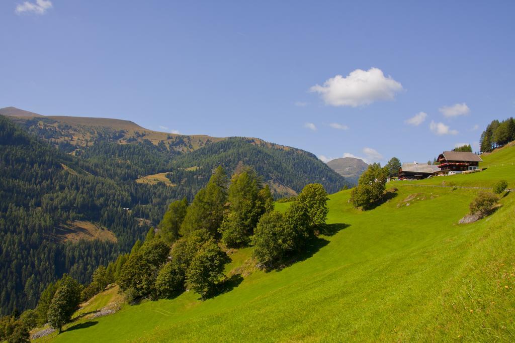 Schrunerhof Ebene Reichenau 객실 사진