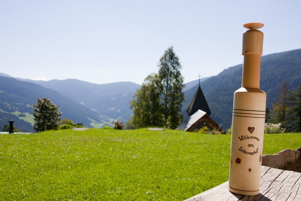 Schrunerhof Ebene Reichenau 객실 사진