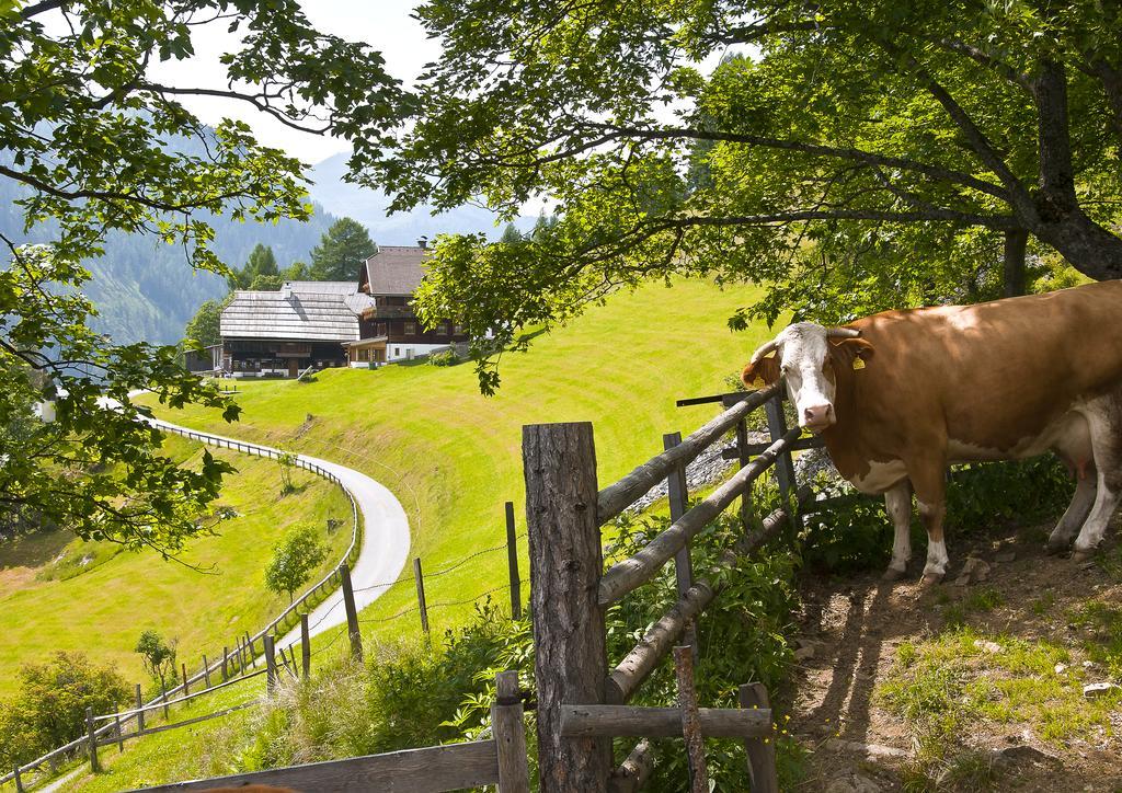 Schrunerhof Ebene Reichenau 외부 사진
