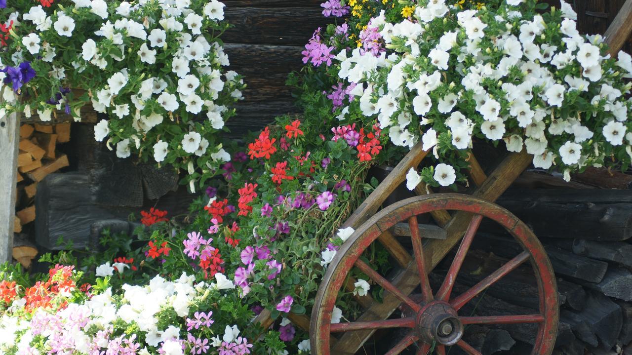 Schrunerhof Ebene Reichenau 외부 사진